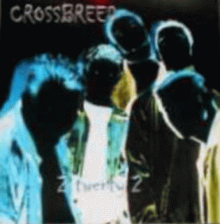 Crossbreed (USA) : 2Twenty2